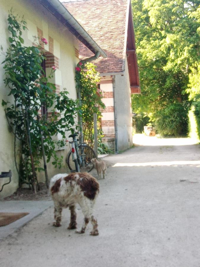 Cottages Et B&B De Troussay Cheverny Eksteriør billede