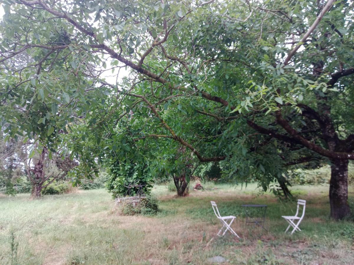 Cottages Et B&B De Troussay Cheverny Eksteriør billede